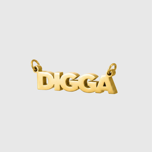 Statement DIGGA